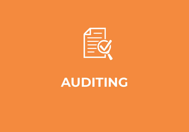 audit audit