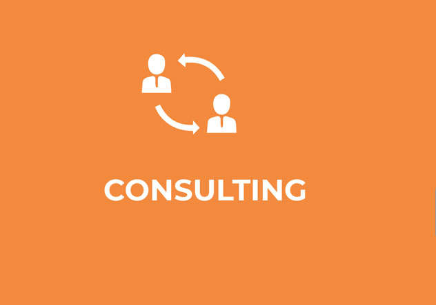 consulting consulting