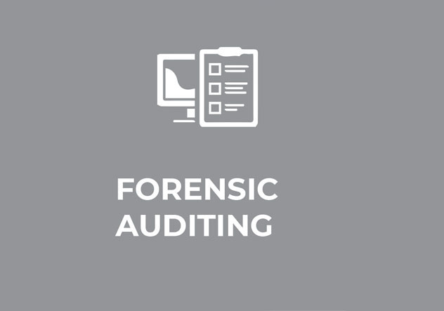 forensic-audit forensic-audit