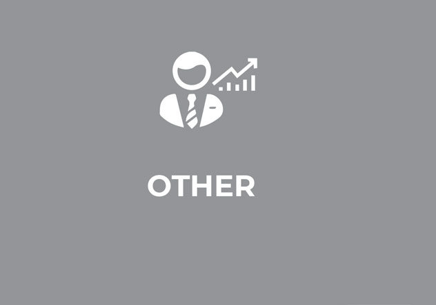 other other