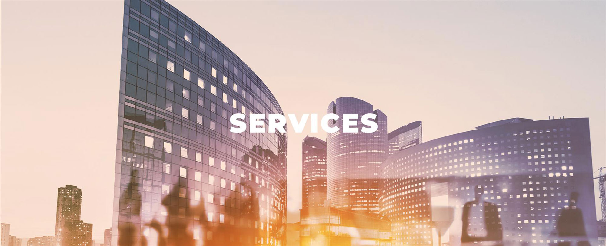 services services